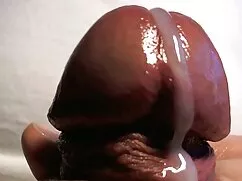 Leccare vagina migli ...